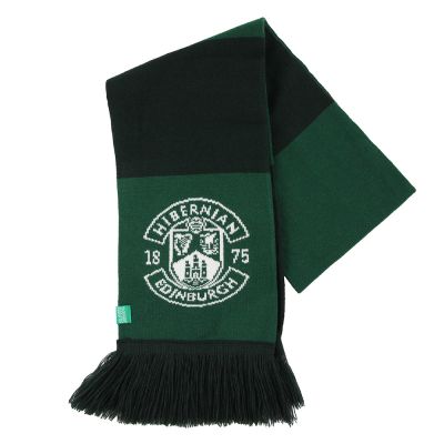 BOTTLE AND GREEN BAR SCARF image