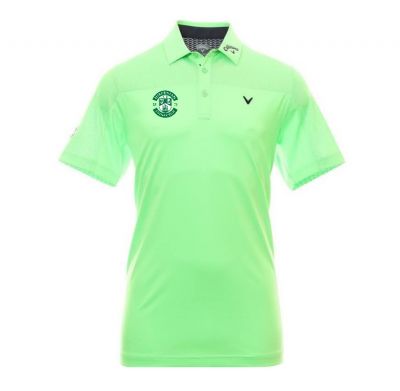 ODYSSEY VENTILATED POLO - SUM GREEN image
