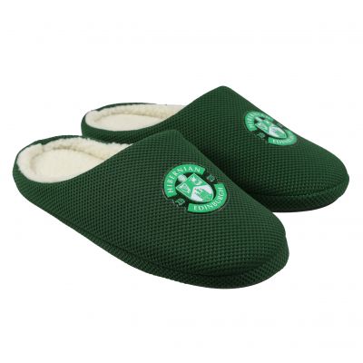 SLIPPERS - SNR image